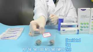 Gefluorideerde eiertest